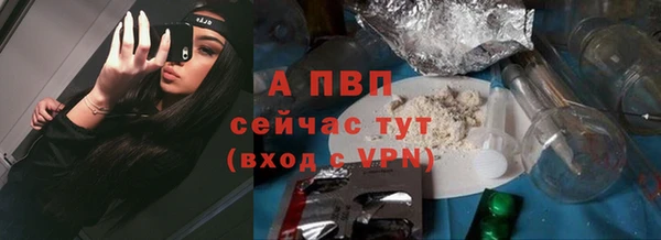гашик Вязьма