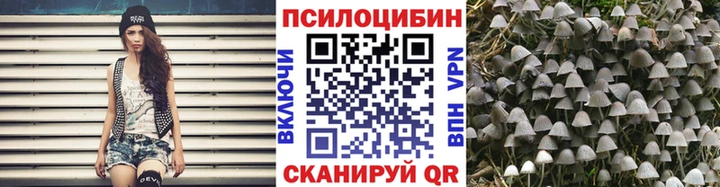 Псилоцибиновые грибы Magic Shrooms  OMG ссылки  Заринск 